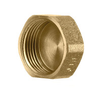 Fitting ZAŚLEPKA MOSIĘŻNA 1/2 - SF53-1/2 - 1